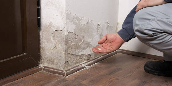 devis traitement humidité des murs